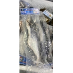 Cá basa nguyên con