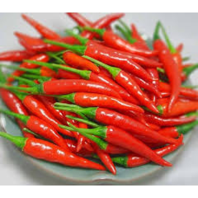Ớt tươi